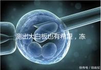 測(cè)出大白板也有希望，凍胚移植第六天的著床癥狀一覽！
