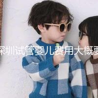 深圳試管嬰兒費(fèi)用大概要多少錢(qián)：2024年費(fèi)用概覽