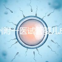 溫州附一醫試管嬰兒成功率低？生殖醫生教你科學備孕