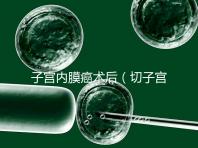 子宮內(nèi)膜癌術(shù)后（切子宮手術(shù)需要多少錢）