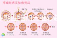 孕中期四維和三維彩超檢查區別真不小，看完便知誰更好