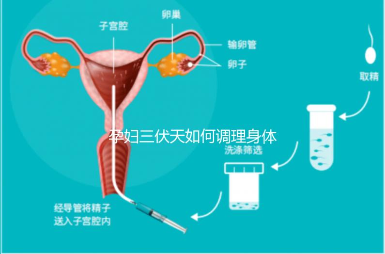 孕婦三伏天如何調理身體看這,專家:不建議曬太陽補鈣