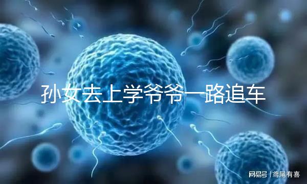 孫女去上學(xué)爺爺一路追車告別，網(wǎng)友：上了年紀(jì)淚點更低了