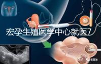 宏孕生殖醫學中心就醫7步曲 簡單了解試管嬰兒流程