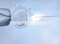 安徽陪產假國家規定多少天更新，2024淮南何時開始執行戳