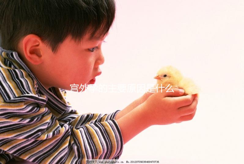 宮外孕的主要原因是什么？