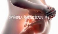 宮寒的人能做試管嬰兒嗎（有宮寒做試管能成功嗎）