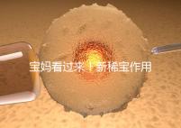 寶媽看過來！新稀寶作用及用法用量介紹