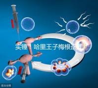 實錘！哈里王子梅根正式公布寶寶名字：阿爾奇·哈里森