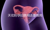 天花粉孕婦禁用還是慎用好看這，5個月不小心吃了有影響