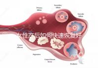 女性產(chǎn)后如何快速恢復(fù)好身材？