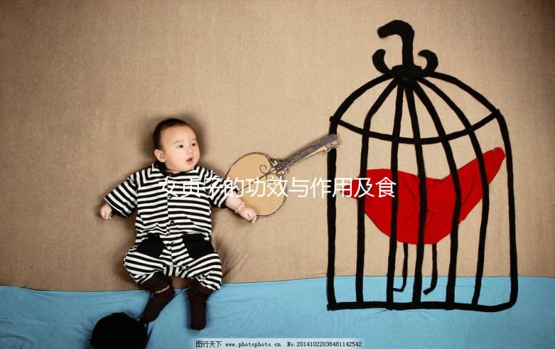 女貞子的功效與作用及食用方法(女貞子會讓雌激素增高嗎)