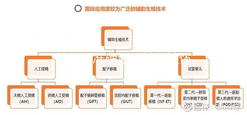 如何更準確地計算女性懷孕時間？