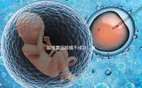 如果囊胚移植不成功，身體會(huì)有什么反應(yīng)？除腹痛外，這三個(gè)方面也需要注意