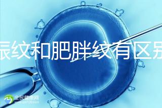 妊娠紋和肥胖紋有區別，教你3種“花紋”診斷鑒別的方法