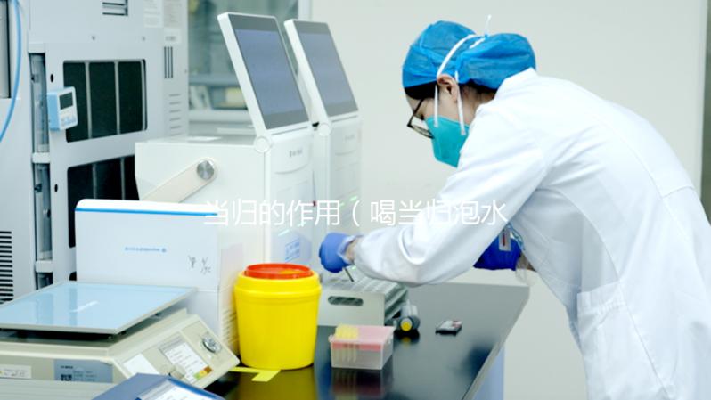 當歸的作用(喝當歸泡水差點死了有何影響)