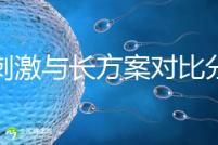 微刺激與長(zhǎng)方案對(duì)比分析，5大區(qū)別告訴你選哪個(gè)好