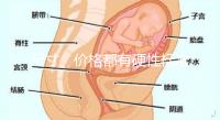 尺寸、價格都有硬性標準，選擇雙胞胎嬰兒床決不可大意！
