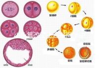 小伙篡改了上百名同學(xué)中考志愿，這些預(yù)防知識(shí)多么重要！