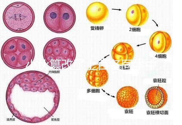 小伙篡改了上百名同學中考志愿,這些預防知識多么重要!