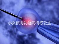 小女孩向禮讓司機行公主禮，這家庭教育得到網友們認可