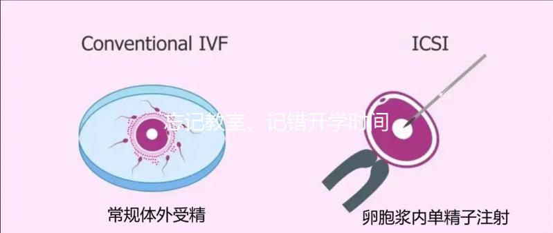 忘記教室、記錯開學時間...開學第一天孩子們囧事分享！