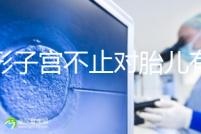 弓形子宮不止對胎兒有危害！這4種影響都不能忽視