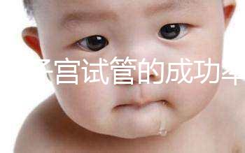 弓形子宮試管的成功率在這里有多少答案？這樣做著床并不難
