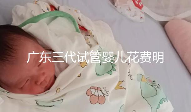 廣東三代試管嬰兒花費明細(xì):8-15萬元,2025價格構(gòu)成公布