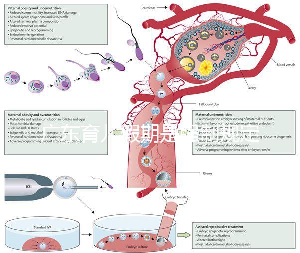 廣東育兒假期是強制規定！深圳包不包括雙休日這均有答復