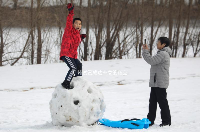 廣州試管成功率高的私立醫(yī)院不多,2024年生殖機(jī)構(gòu)排名參考