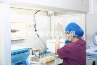 并沒有想象的那么簡單,揭秘試管胚胎移植全過程(9圖)