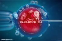 郁金的功效與作用（郁金和柴胡哪個(gè)疏肝好）