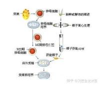 選對成功一半！來看看海南哪家醫院能做三代試管嬰兒