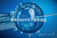 通草的副作用（通草最多能吃幾天）