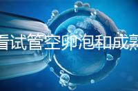 速看試管空卵泡和成熟卵泡能否區(qū)分開，這兩大技巧學(xué)起來