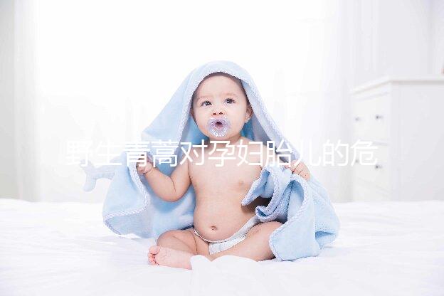 野生青蒿對孕婦胎兒的危害多，能否泡腳、洗澡看這里