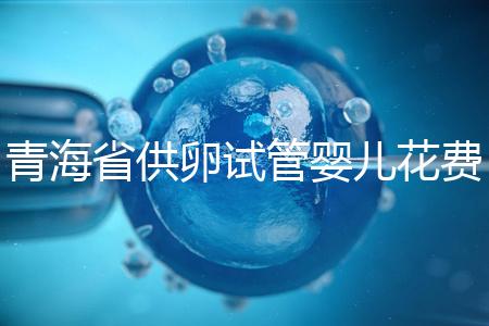 青海省供卵試管嬰兒花費(fèi)明細(xì)表一覽，一次成功助孕費(fèi)用最低