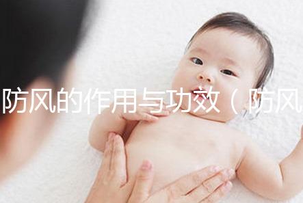 防風的作用與功效(防風的作用與功效與作用)