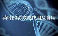 荷葉的功效與作用及食用方法（荷葉蒂的功效與作用及食用方法）