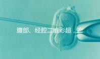 腹部、經(jīng)腔二維彩超，產(chǎn)檢部位不同照樣能篩選疾病