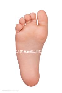 老人家說(shuō)后壁上懷頂胃是男孩，進(jìn)來(lái)看看民間說(shuō)法準(zhǔn)不準(zhǔn)