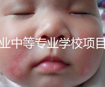 職業(yè)中等專業(yè)學(xué)校項(xiàng)目(中等職業(yè)學(xué)校專業(yè)建設(shè)規(guī)劃實(shí)施方案)