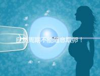 自然周期不能隨意取卵！滿足3點(diǎn)要求才能順利進(jìn)行