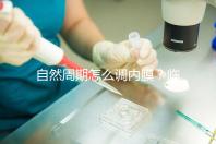 自然周期怎么調內膜？臨床常用的3步流程曝光