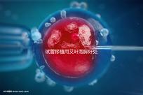 試管移植用艾葉泡腳好處多，幫助胚胎著床僅為其作用之一