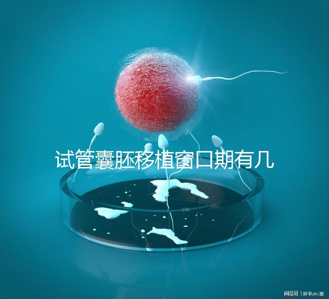 試管囊胚移植窗口期有幾天看這，弄明白什么時候更易著床