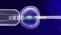 試管囊胚d5天與d6天哪個好？你們想知道的區別在這里