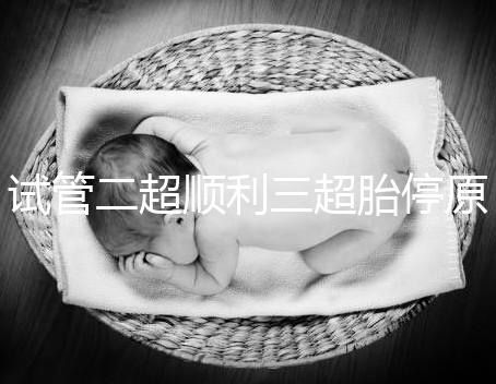 試管二超順利三超胎停原因分析，多半和保胎藥停早了有關