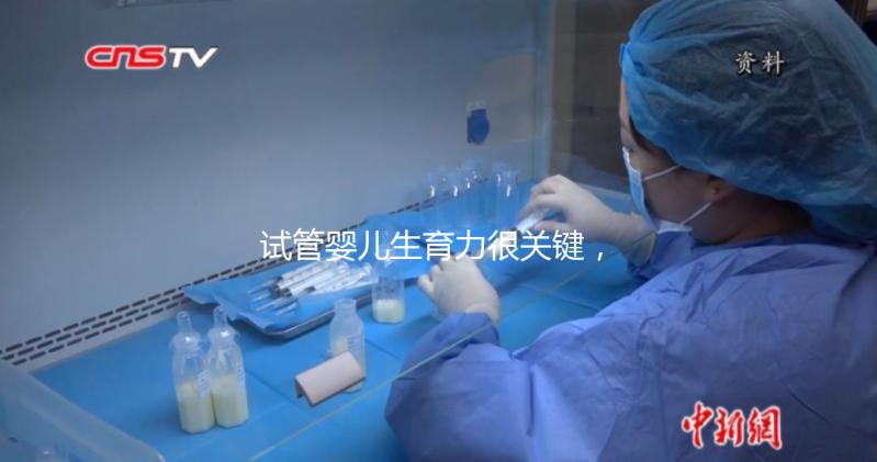 試管嬰兒生育力很關鍵,4個方面評估好不好?